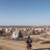 رقم قياسي جديد.. أكثر من 71 مليون نازح داخل بلدانهم في 2022