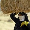 بمشاريع تتحدى تقاليد المجتمع.. نساء الموصل يُعلن عائلاتهن