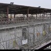 باشرت لأول مرة ببرنامج الافراج المباشر عن السجناء من الاقسام الخارجية وزارة العدل: اطلاق سراح (81) نزيلا من سجن التاجي