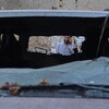 تقرير أميركي يحذر من مساع لداعش لخطف مسؤولين عراقيين في أوروبا