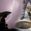 ضحايا الطقس المضطرب.. 