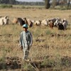 القتل والجثث المبعثرة تترك بصمات سلبية لدى أطفال العراق