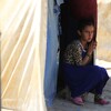 نازحو العراق... متى يزول أثر 