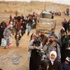 نائب يوجه طلبا عاجلا للحكومة بشأن التدقيق الامني للعراقيين النازحين من سوريا