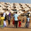 بالأرقام.. الهجرة النيابية تكشف إحصائية بأعداد النازحين في العراق