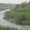 ديالى تباشر بتغيير مسار نهر عمره الاف السنين لانشاء طريق يربط بعقوبة بضواحيها الجنوبية 