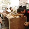 التطورات الامنية في العراق يوم السبت