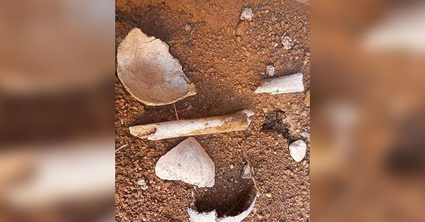 العثور على مقبرة جماعية جديدة في سنجار
