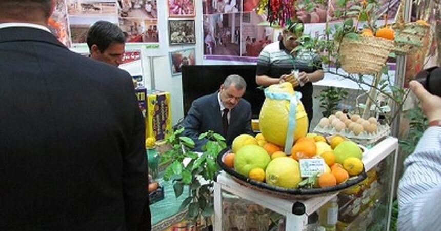 الوائلي : الاطلاع على التجارب العراقية والدولية في مجال الزراعة وتنمية الثروة الحيوانية افضل من اجترار النزاعات السياسية