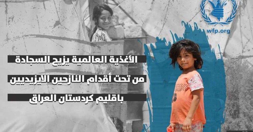 الأغذية العالمية يزيح السجادة من تحت أقدام النازحين الايزيديين باقليم كردستان العراق